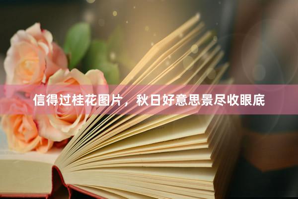信得过桂花图片，秋日好意思景尽收眼底